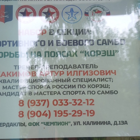 Данил Сегин